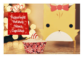 Pics Photos Peppermint Swirl Cupcake Favor Boxes