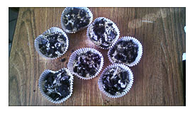 Cupcakes By Clever Sunflower And Ladybug Cupcakes