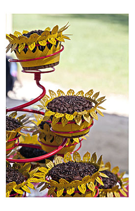 Pin By Tammy McCarthy On First Birthday Party Pinterest