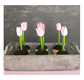 Tulip Cupcakes Related Keywords & Suggestions Tulip Cupcakes Long