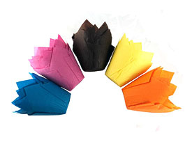 Multi Coloured Tulip Muffin Cake Cases CS Robertson Packaging Food