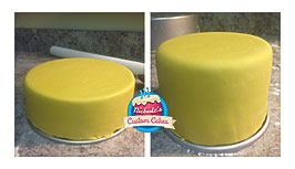 Experience, From Satin Ice To Wilton To LMF Nichole's Custom Cakes