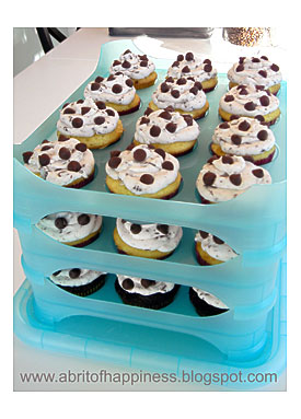 Put Them In My Handy Dandy Cupcake Carrier And Took Them Over To The