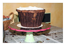 tokus half of giant cupcake