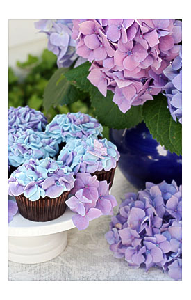 Hydrangea Cupcakes – Glorious Treats