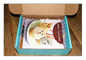 McCormick Cupcake Kit